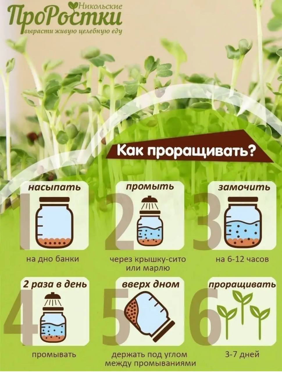 Семена для микрозелени MegaMedia дайкон - фото 7