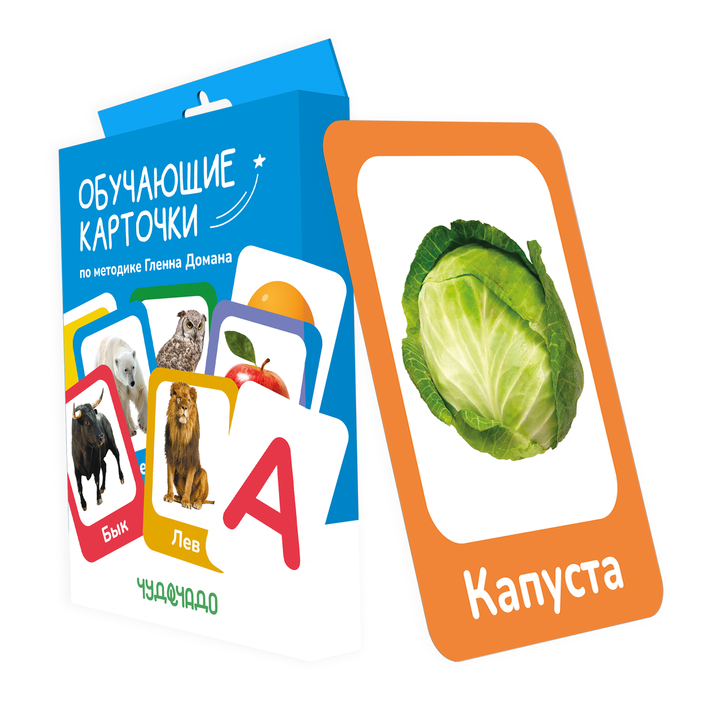 Обучающие карточки ЧудоЧадо Овощи и фрукты Гленна Домана - фото 1