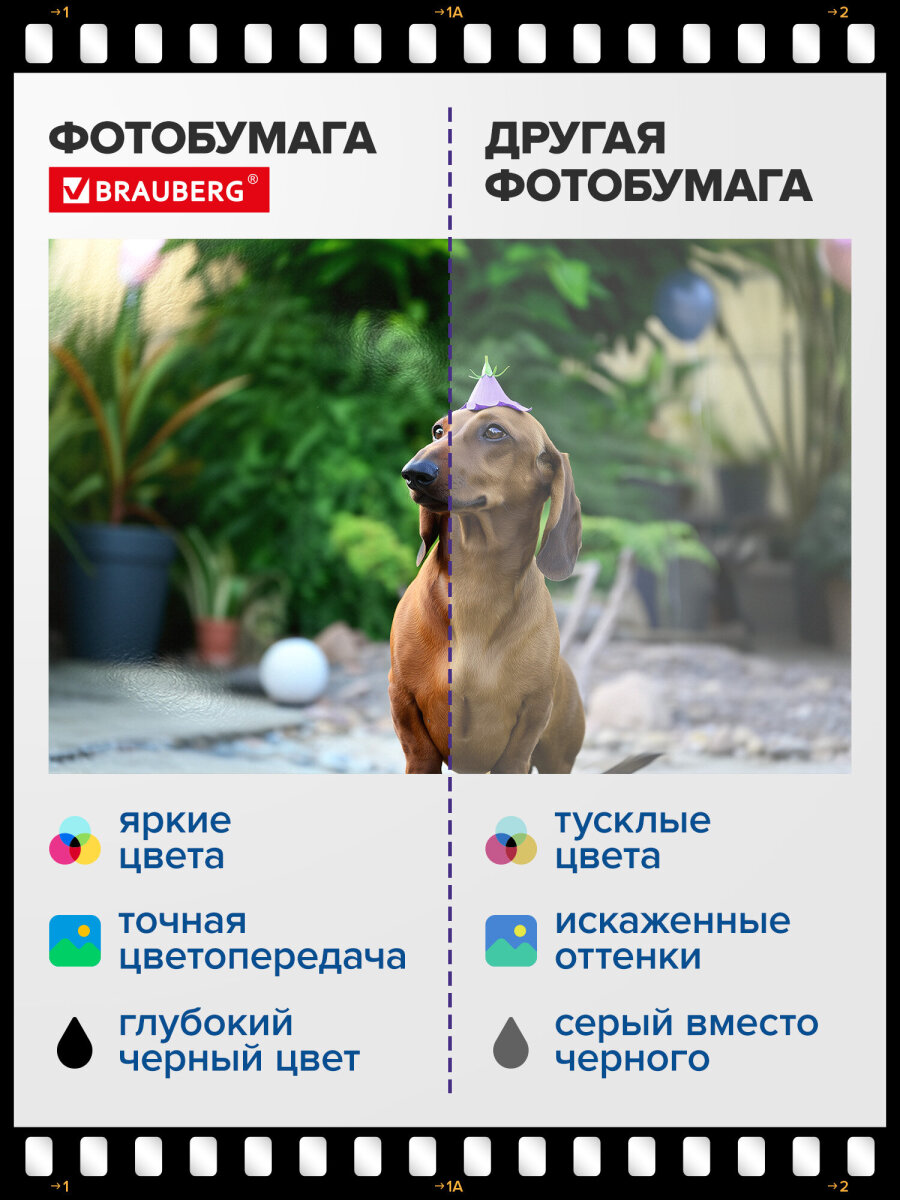 Фотобумага Brauberg глянцевая для печати фото 50 листов 10x15 см - фото 4