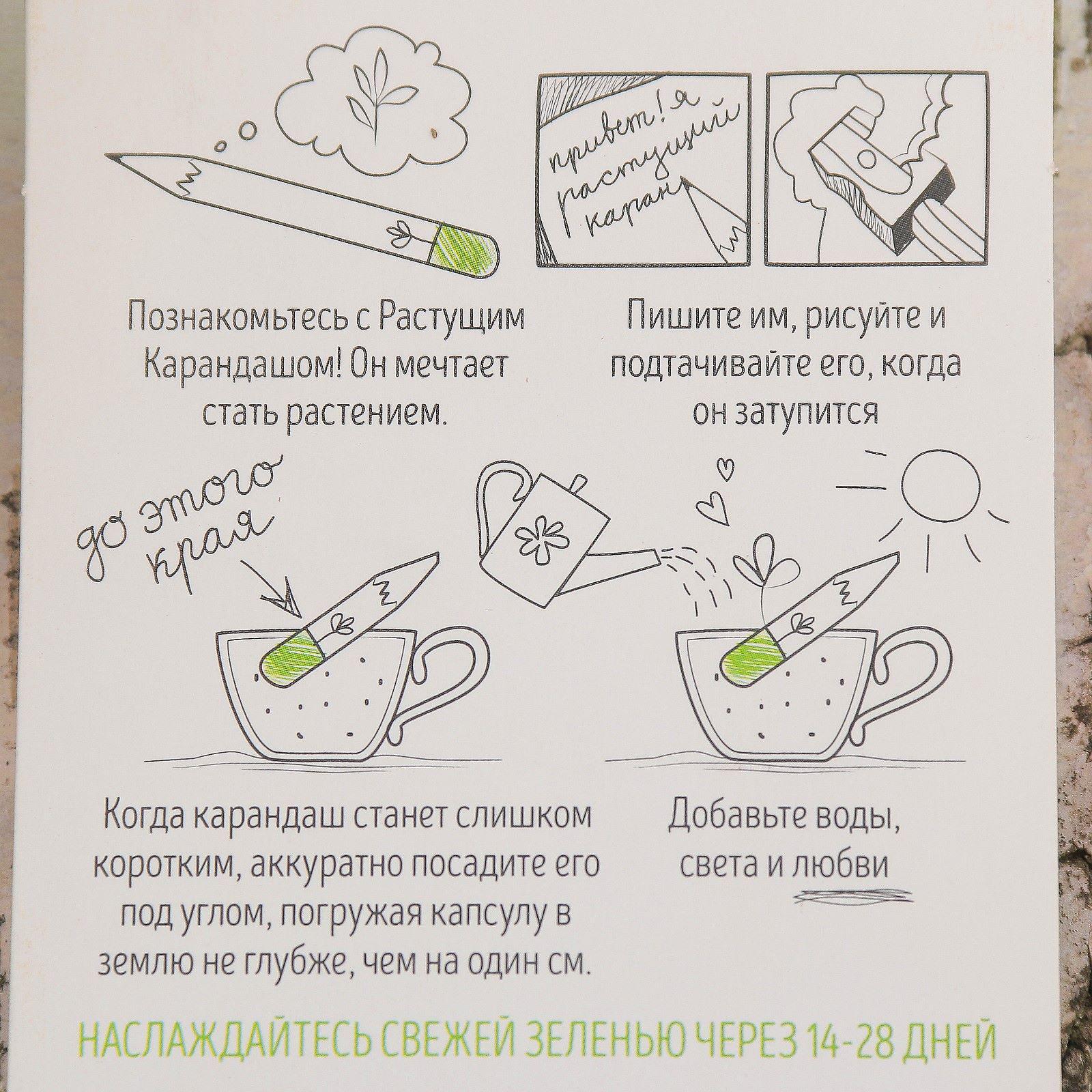 Набор для выращивания Лас Играс - фото 3