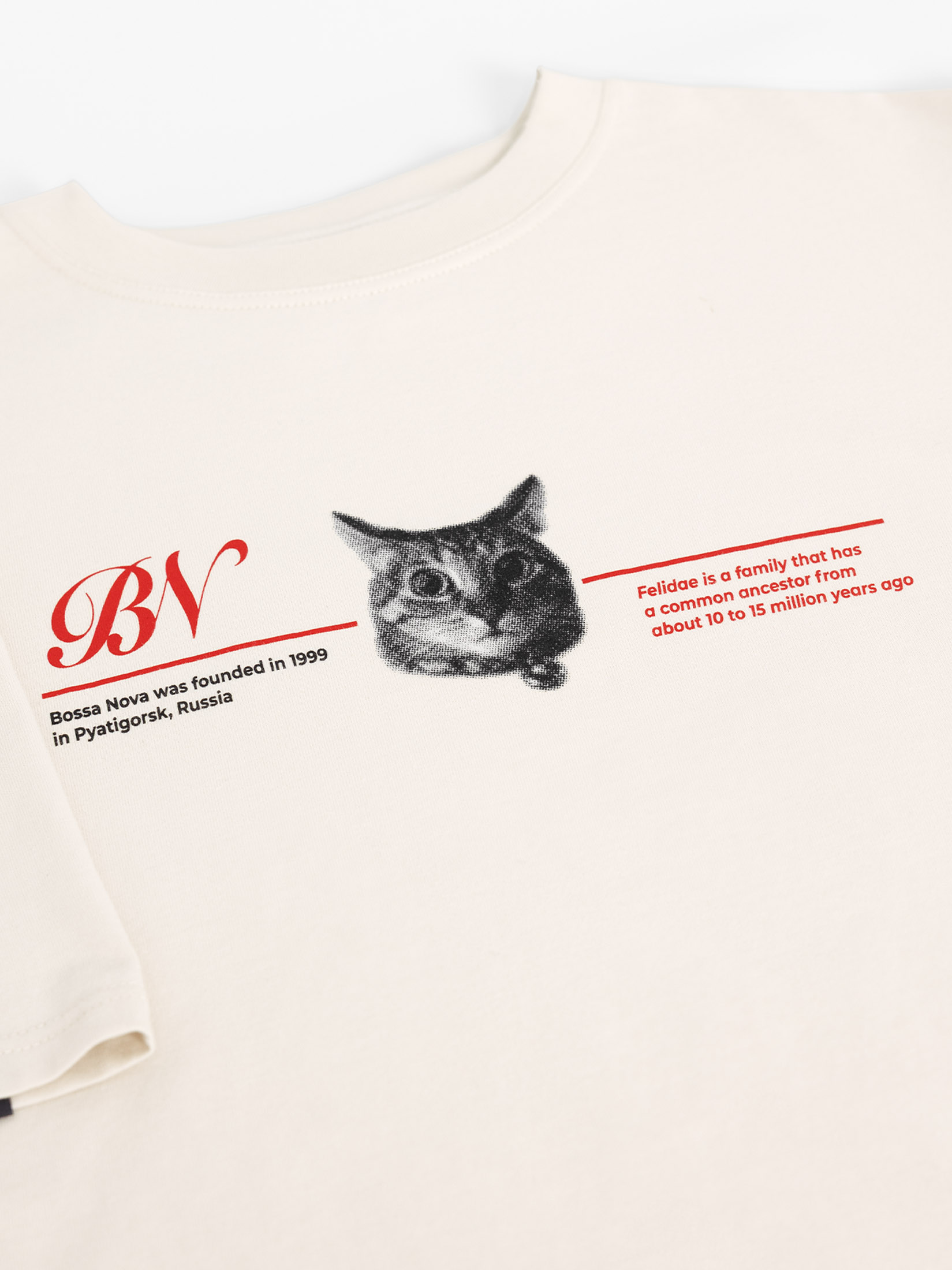 Футболка Bossa Nova 266Ф-161-М - фото 10