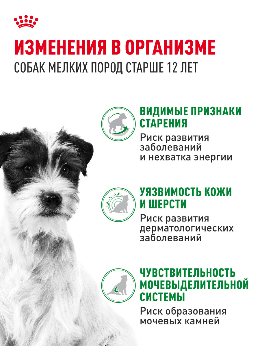 Корм для собак ROYAL CANIN Mini Ageing 12+ для стареющих собак мелких размеров 85г - фото 2