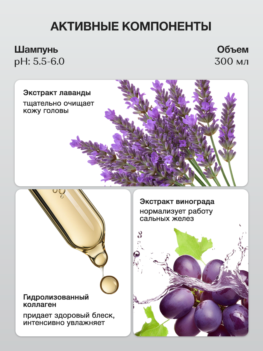 Шампунь Tashe Professional 300 мл - фото 3