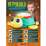 Игрушка TimeToCreate Ползающая черепашка