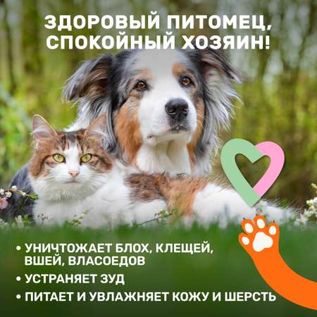 Шампунь ZOORIK от блох и клещей для взрослых собак и кошек инсектицидный 250 мл