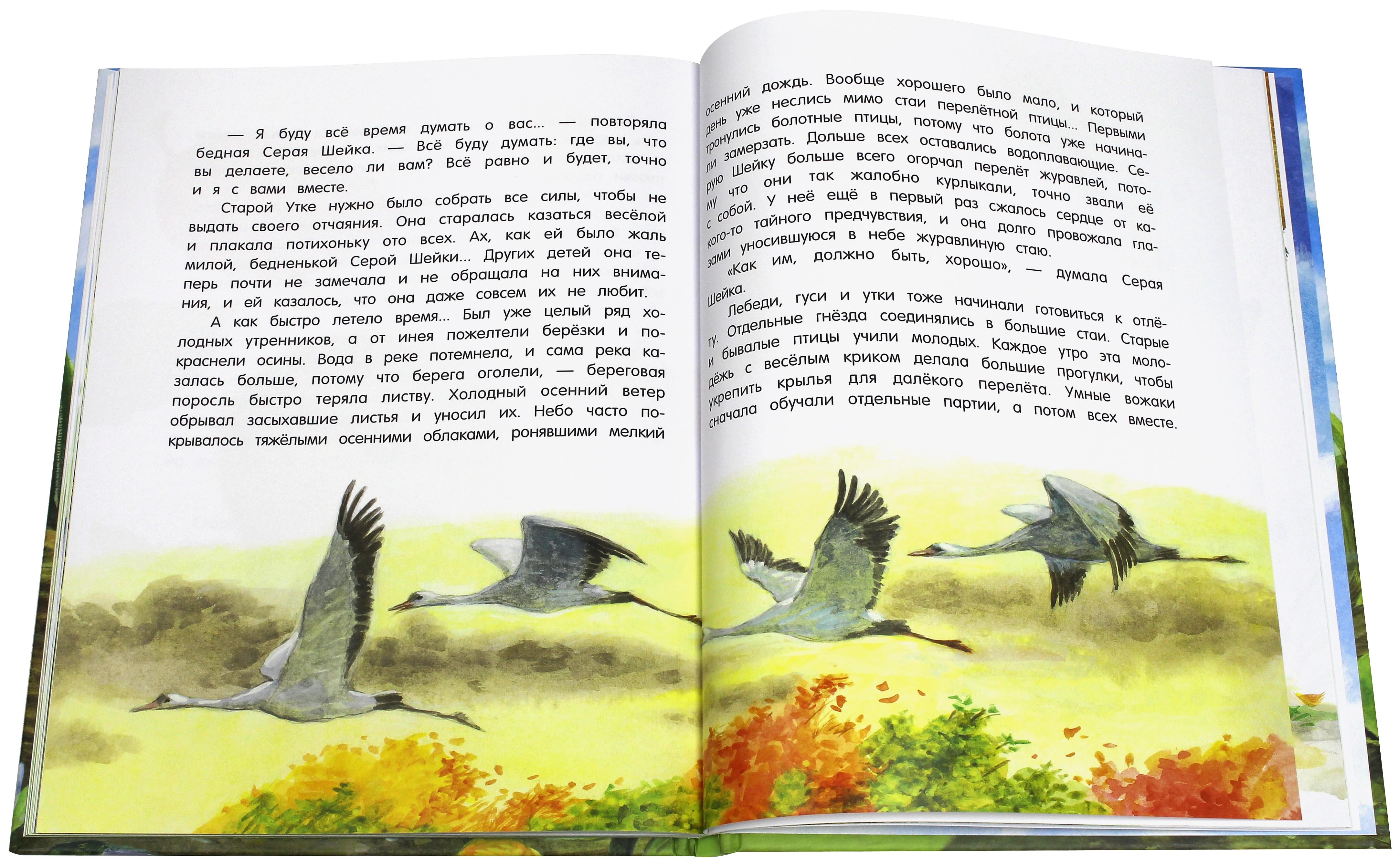 Книга Лабиринт Лягушка путешественница - фото 2