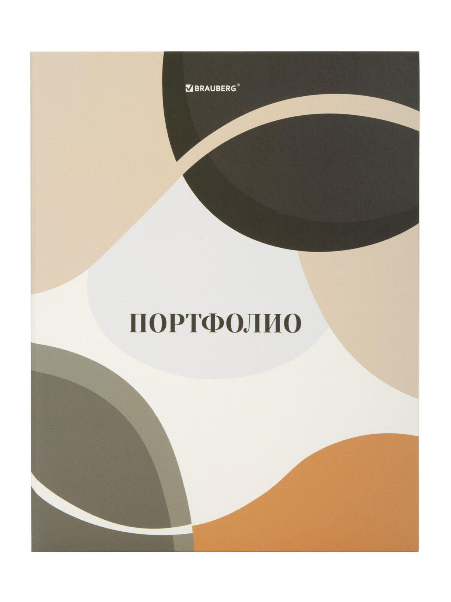 Портфолио школьника Brauberg папка А4 на кольцах 20 файлов для девочки и мальчика - фото 9