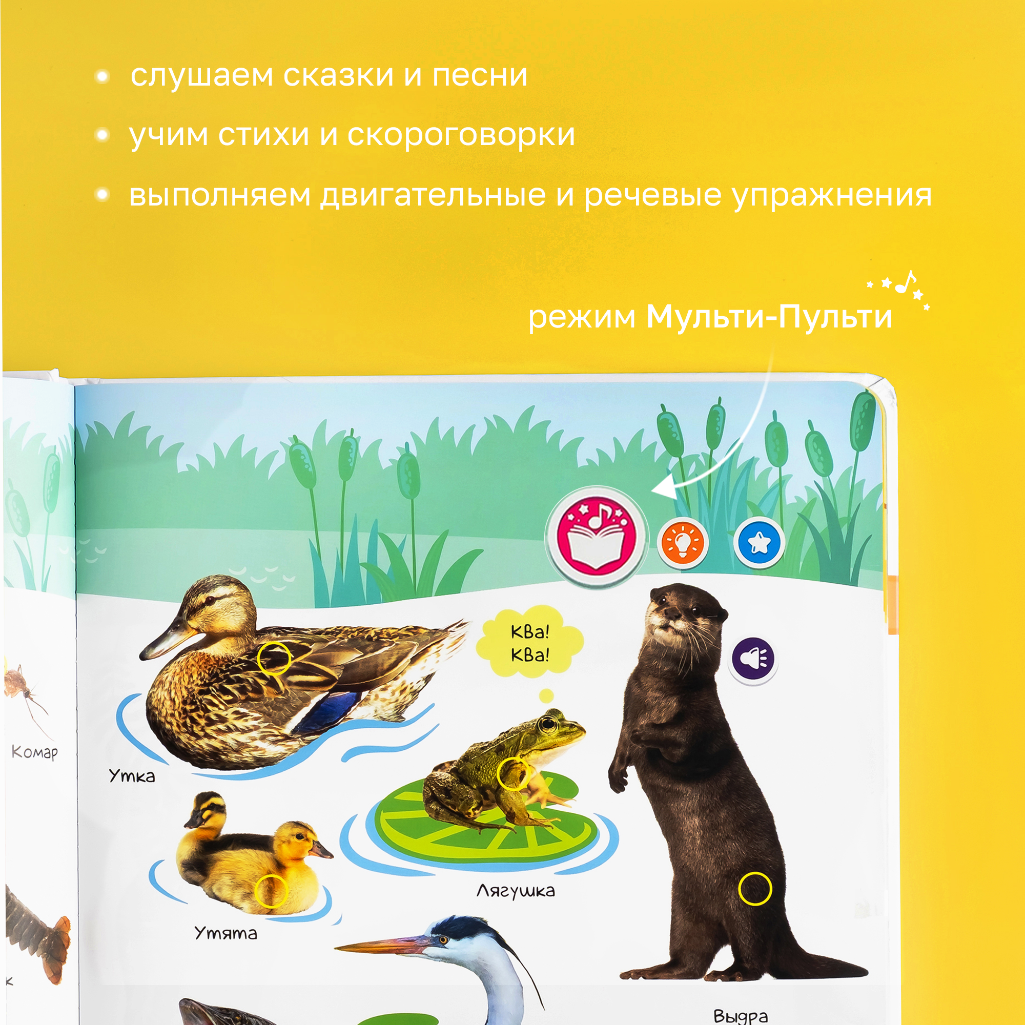 Говорящая книжка BertToys большая нажималка животные - фото 9
