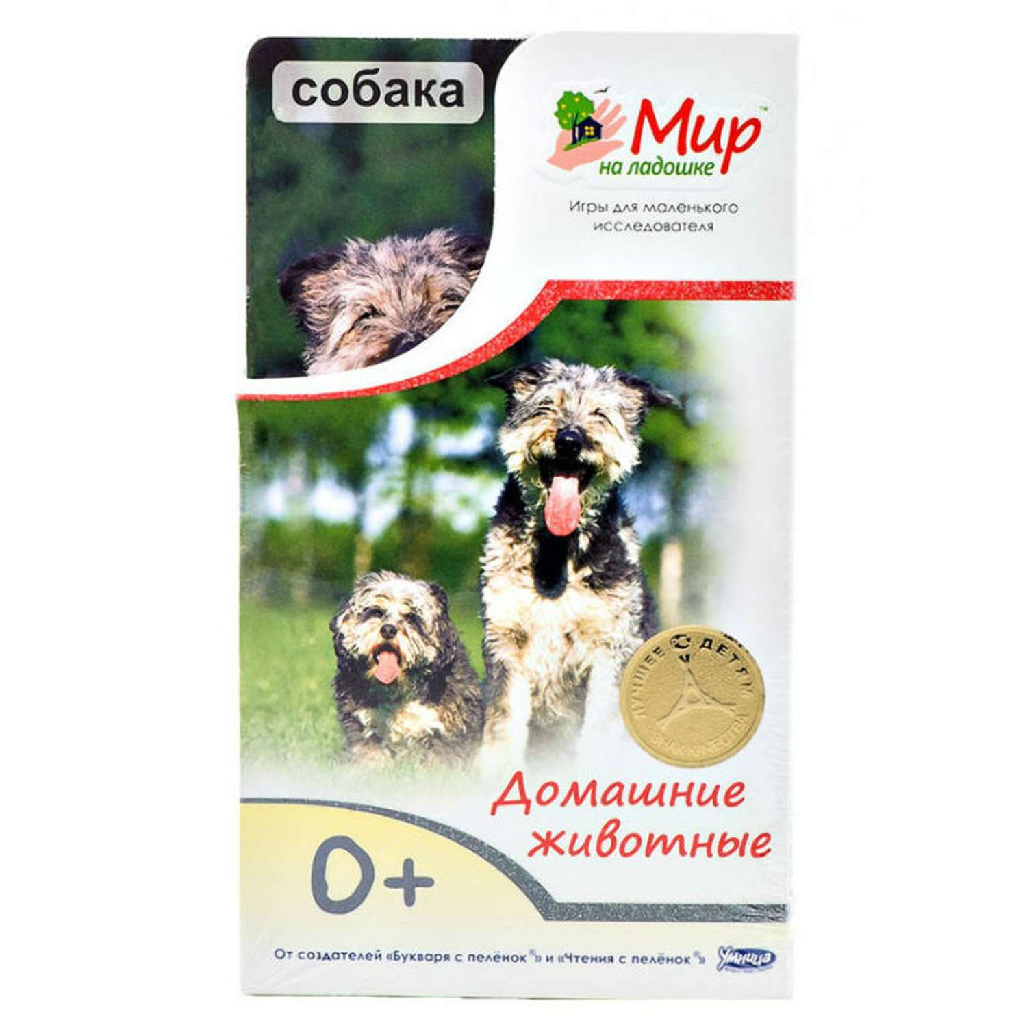 Мир на ладошке-3 Умница (книги) Домашние животные - фото 1