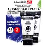 Краски акриловые Brauberg 2 цв.