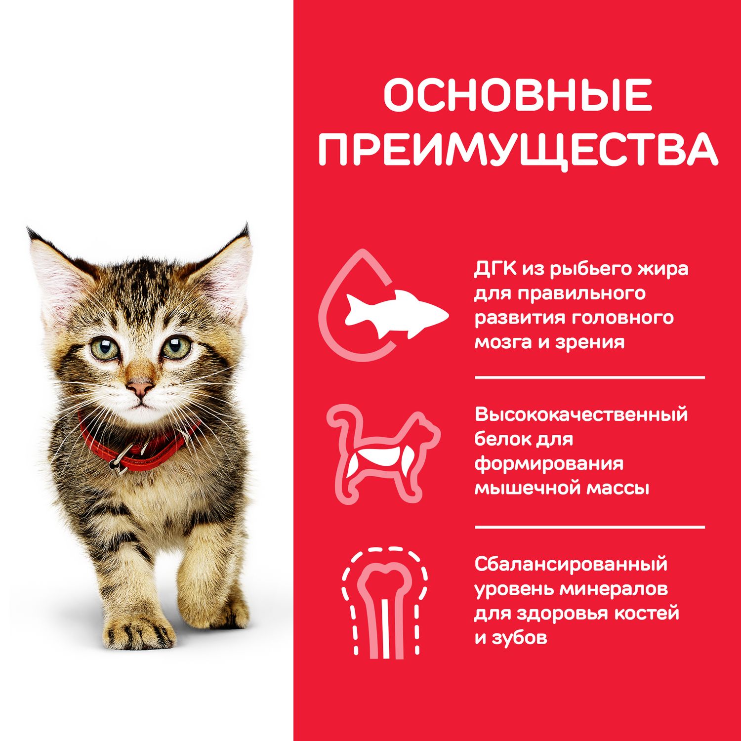 Корм влажный для котят HILLS 85г Science Plan Healthy Development с океанической рыбой пауч - фото 4