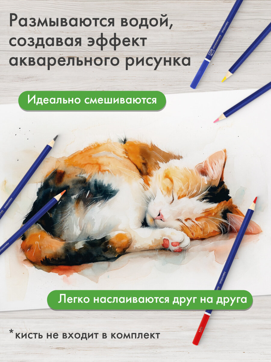 Карандаши акварельные Brauberg 24 шт. - фото 2