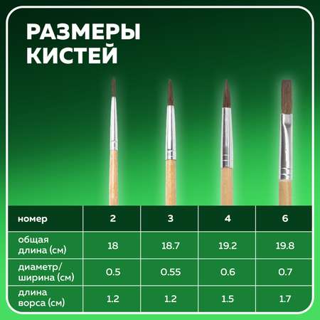 Кисть Brauberg 4 шт. (пони)