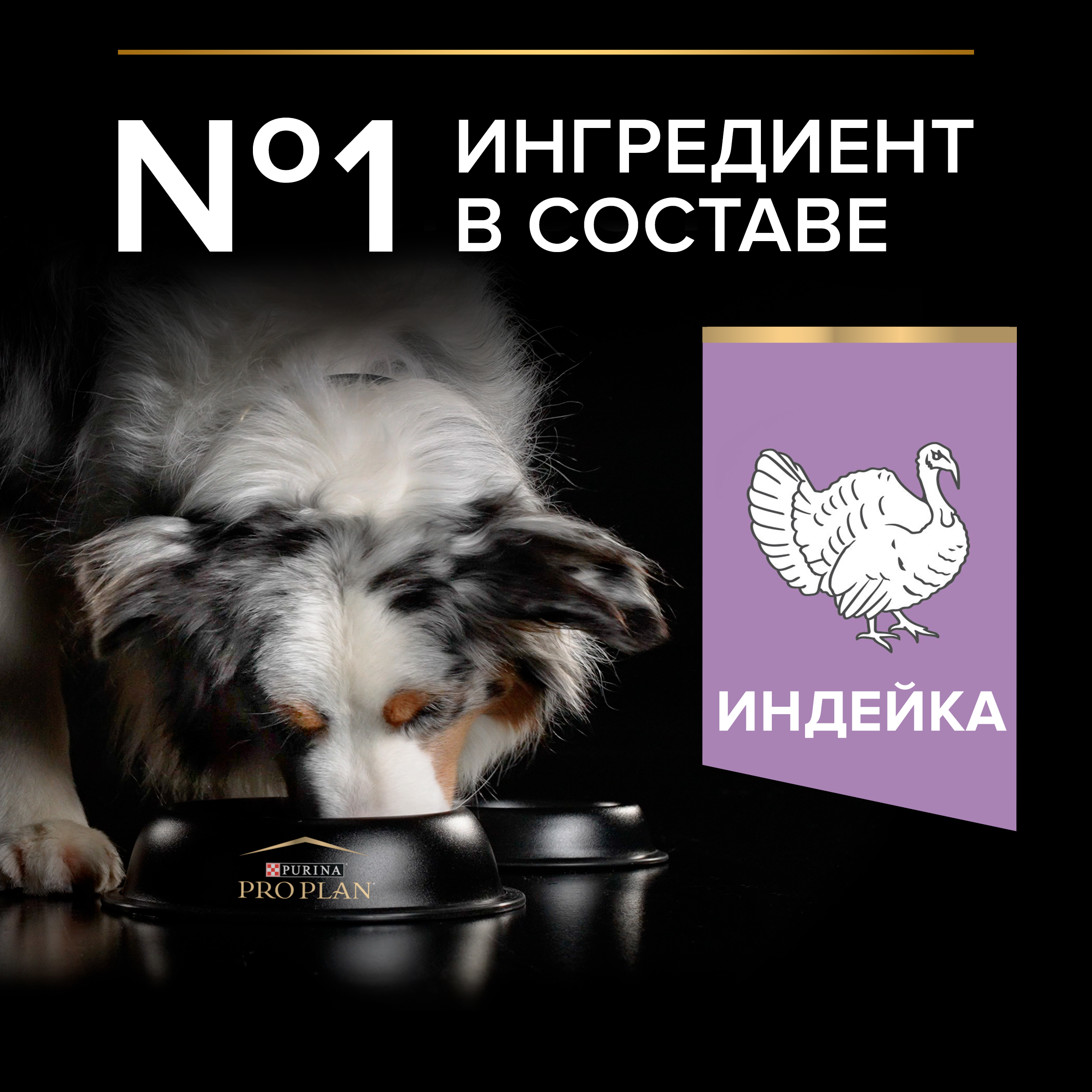 Корм для собак PRO PLAN средних пород с чувствительным пищеварением беззерновой индейка 2.5кг - фото 4