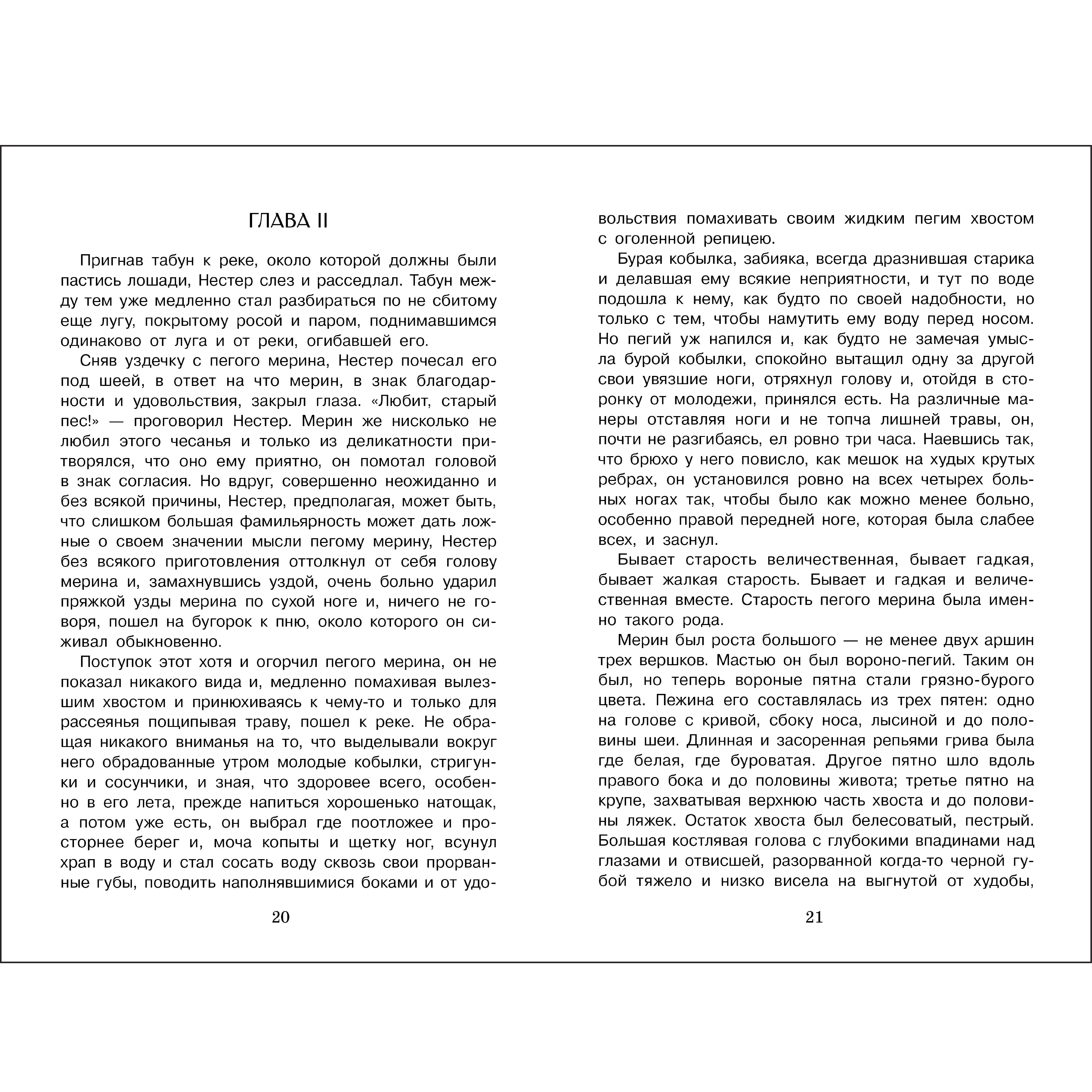 Книга СТРЕКОЗА Внеклассное чтение - фото 4