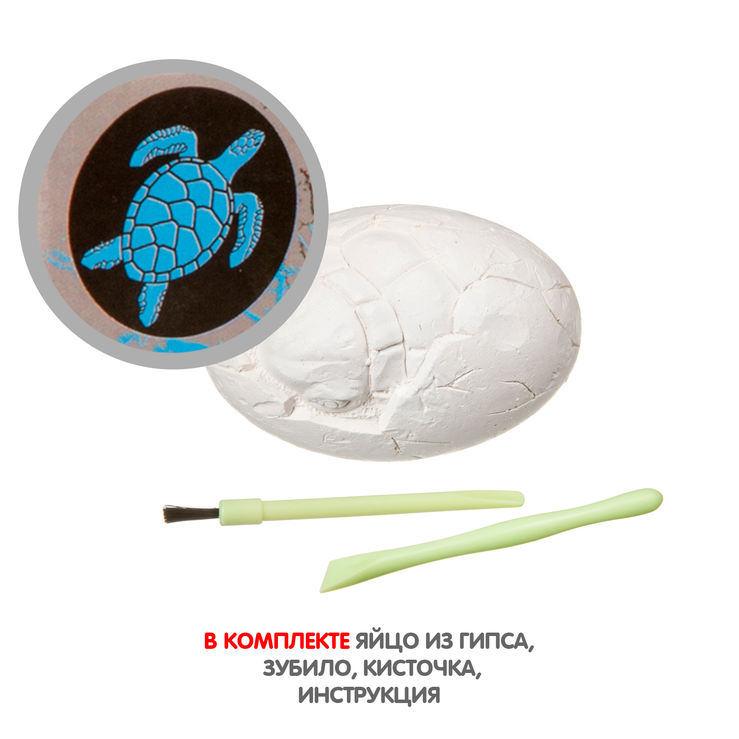 Набор для раскопок Bondibon палеонтология: Яйцо черепахи - фото 4