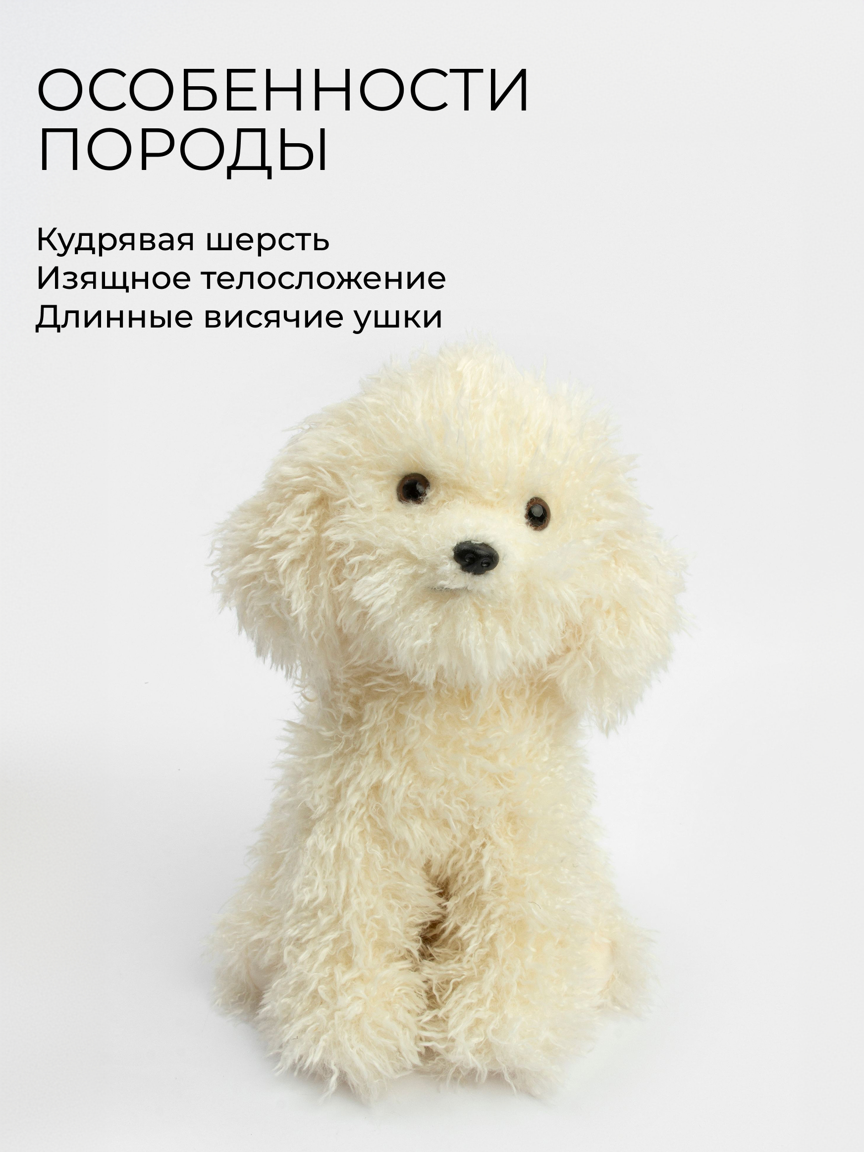 Мягкая игрушка GULLIVER toys Той-пудель белый 28 см - фото 2
