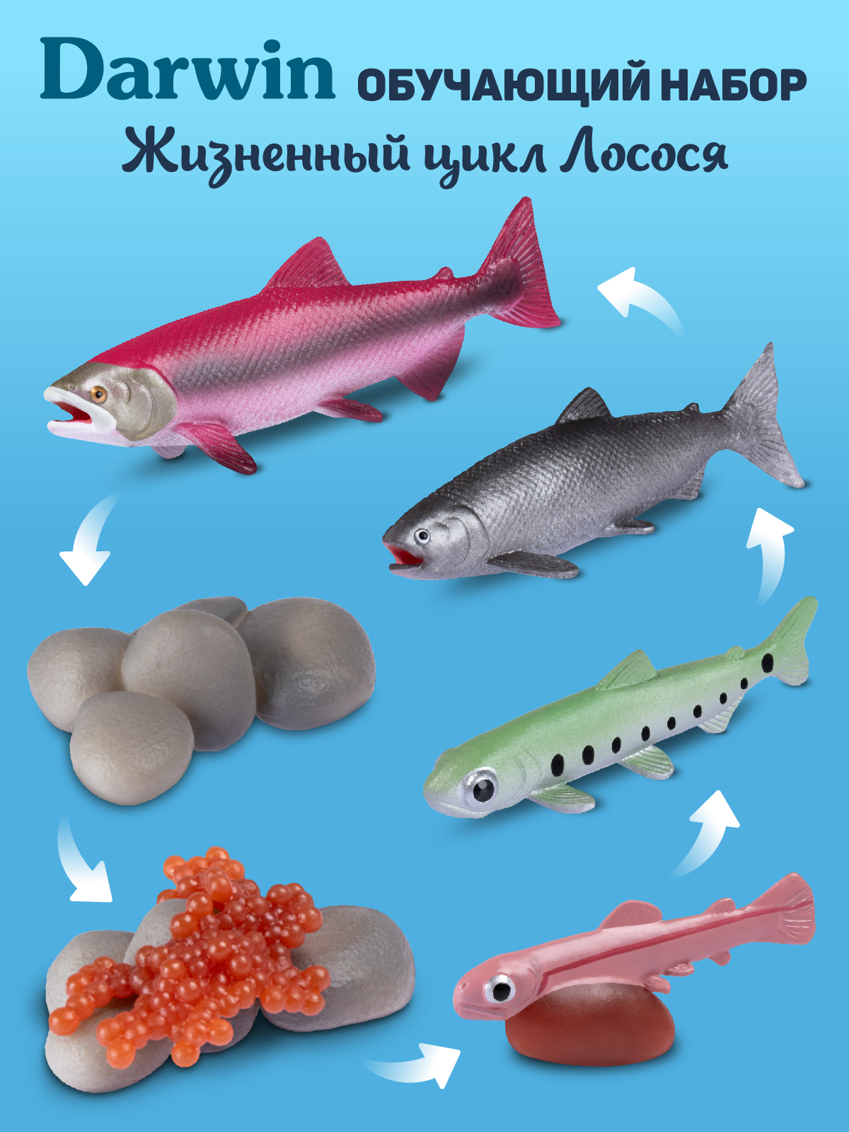 Игровой набор DARWIN Животные Морские обитатели 6шт - фото 3