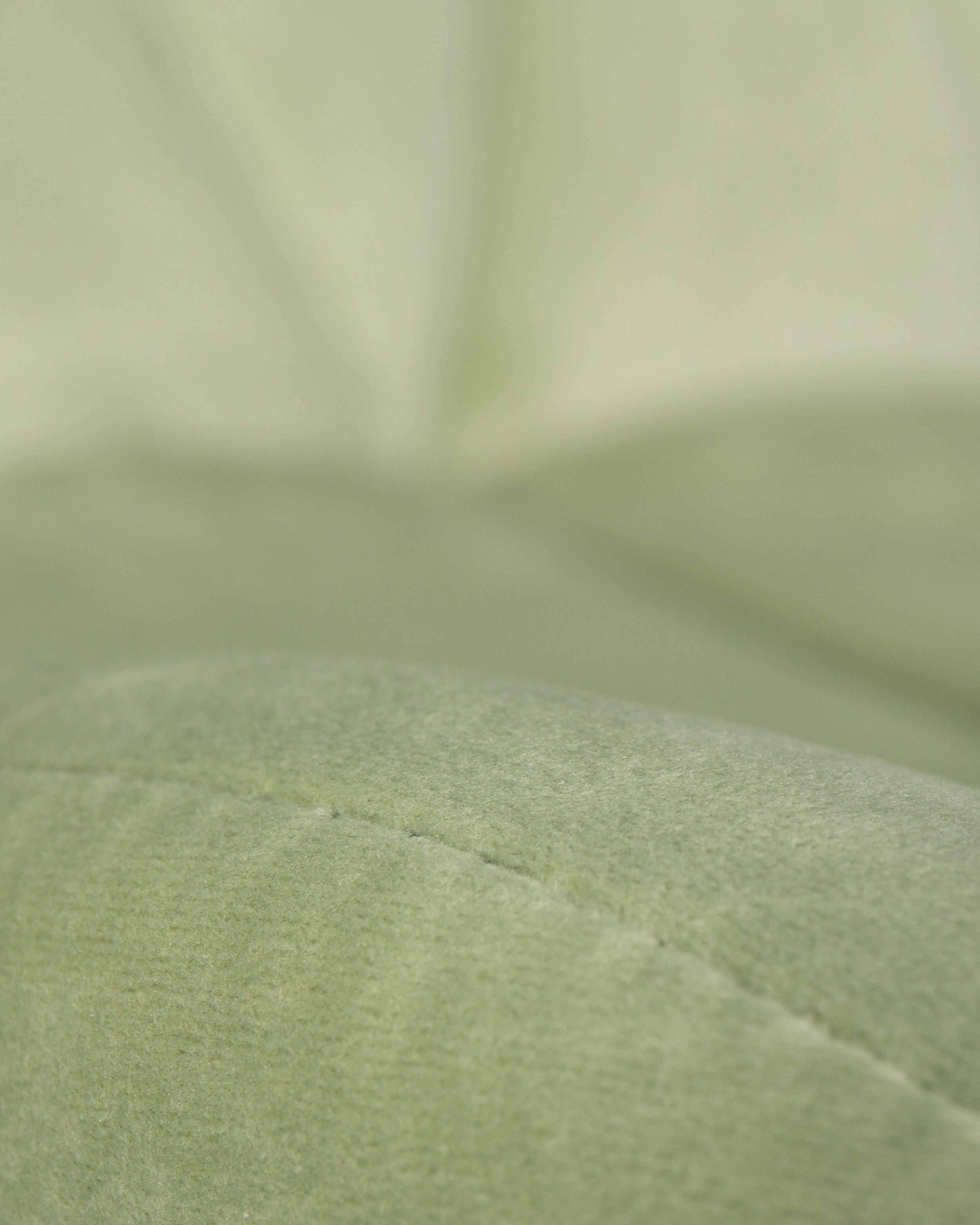 Стул DOBRIN BARNY 2 шт. - фото 9