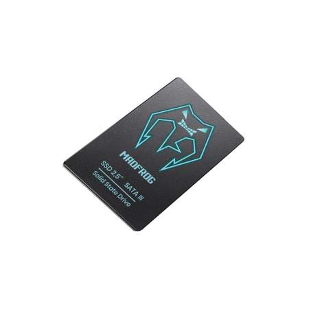 Твердотельный накопитель MADFROG SSD 256 Gb