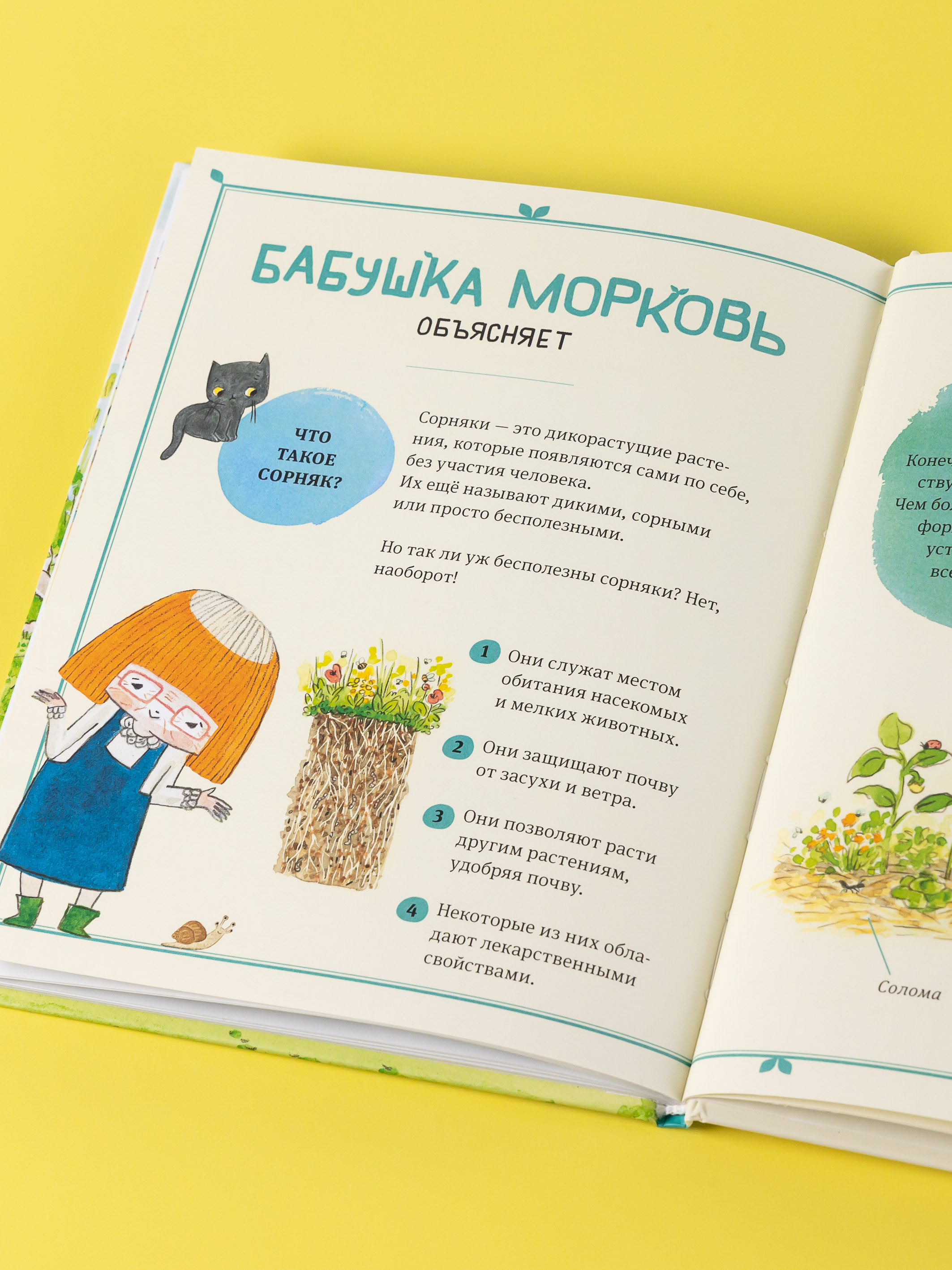 Книга Альпина. Дети В саду Базилика Сорняков не существует - фото 2