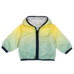 Ветровка Chicco