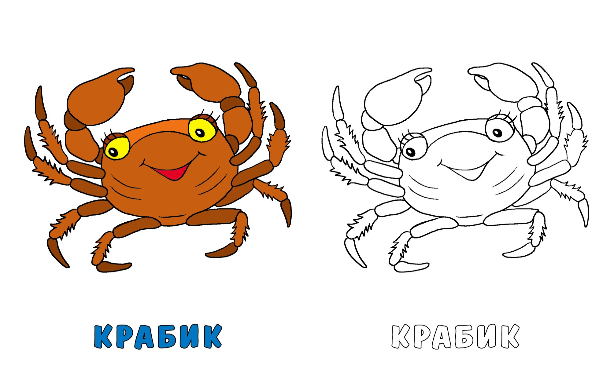 Книга Книжный дом Осьминожек и его друзья - фото 2