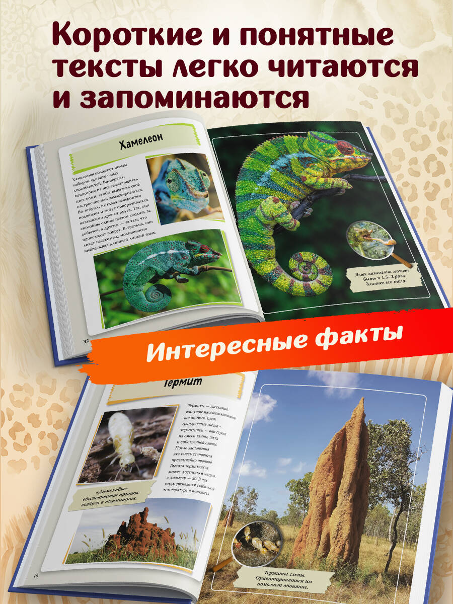 Книга Эксмо Удивительные животные нашей планеты - фото 4