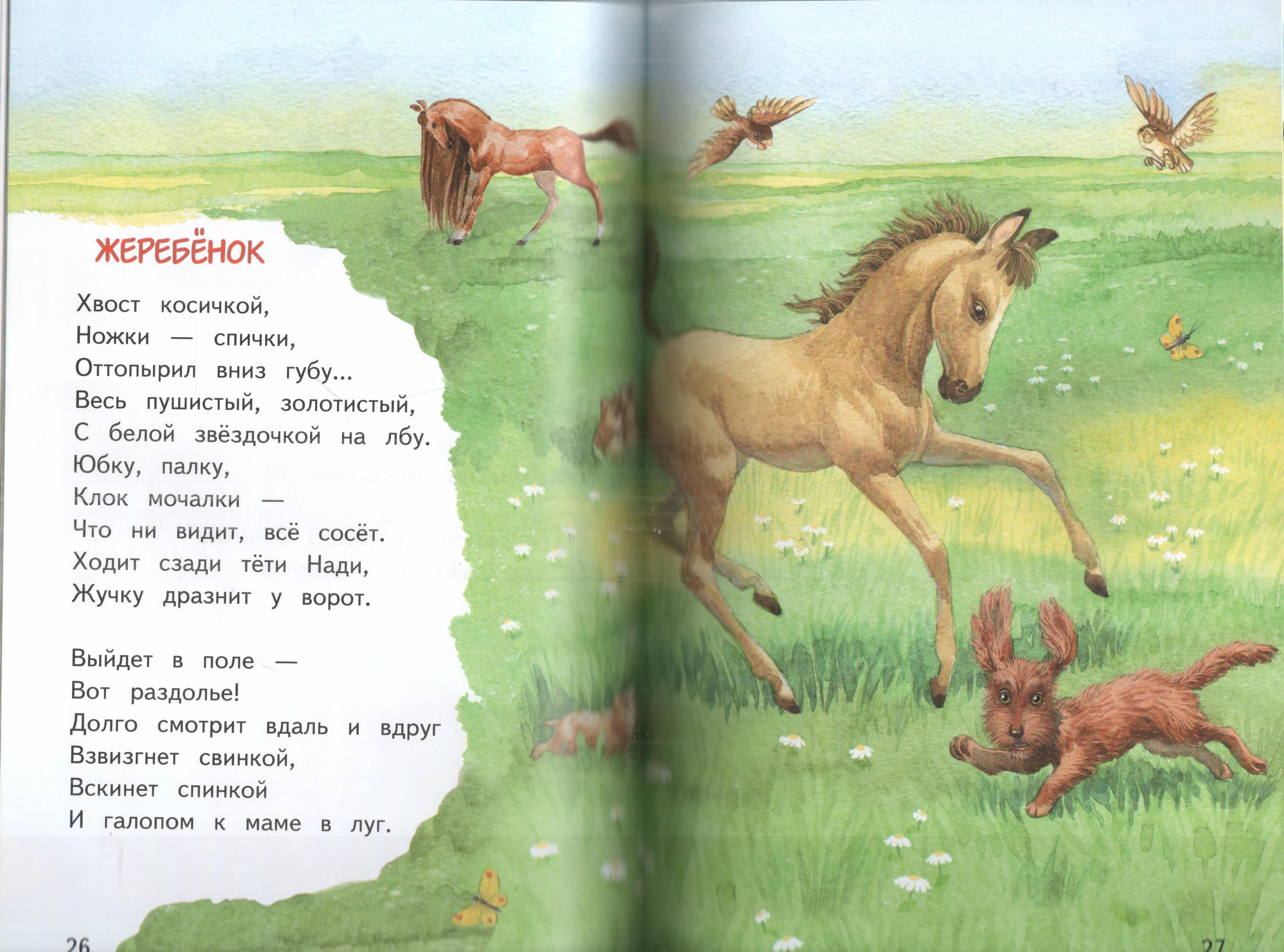 Книга Лада Кошкин дом. Сборник - фото 5