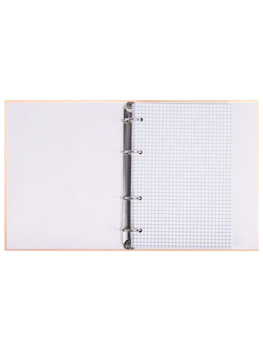 Тетрадь со сменным блоком Brauberg клетка 120 лист. - фото 7