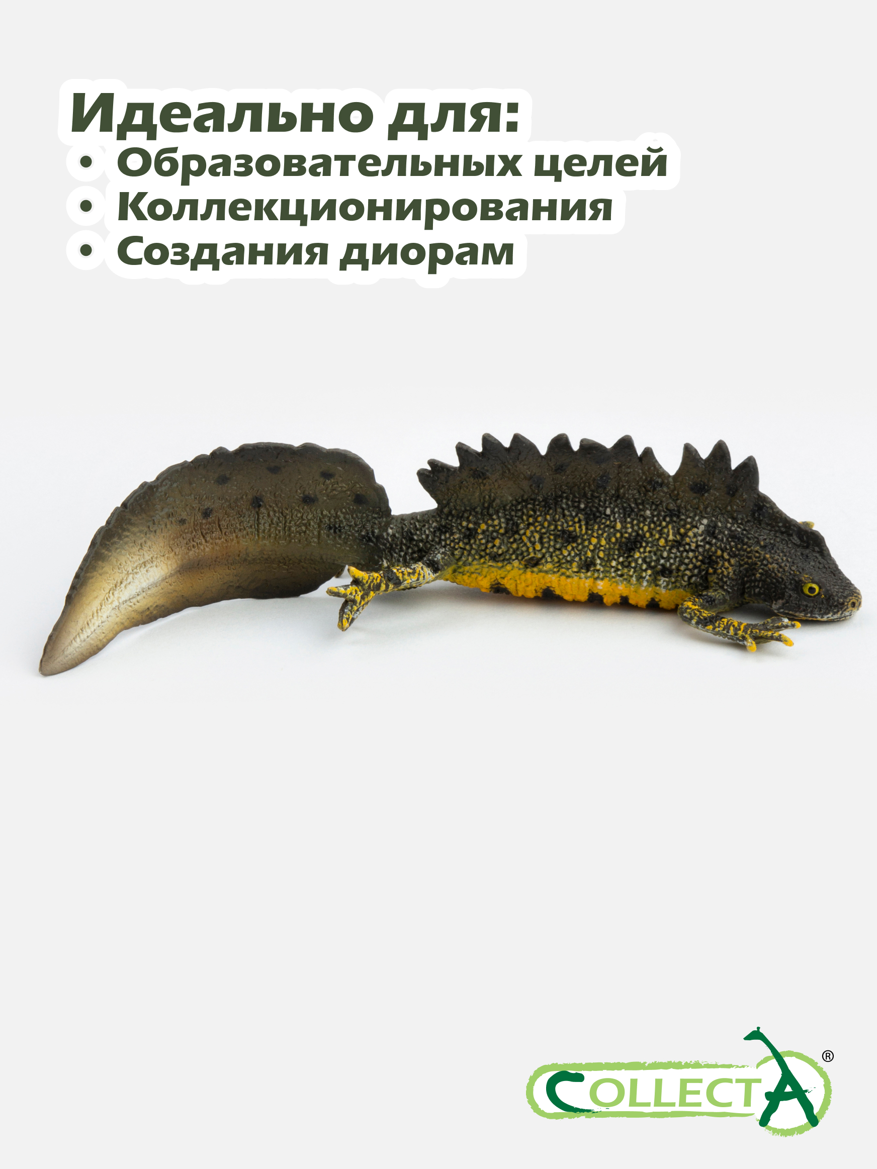 Фигурка Collecta Гребенчатый тритон 3см - фото 6