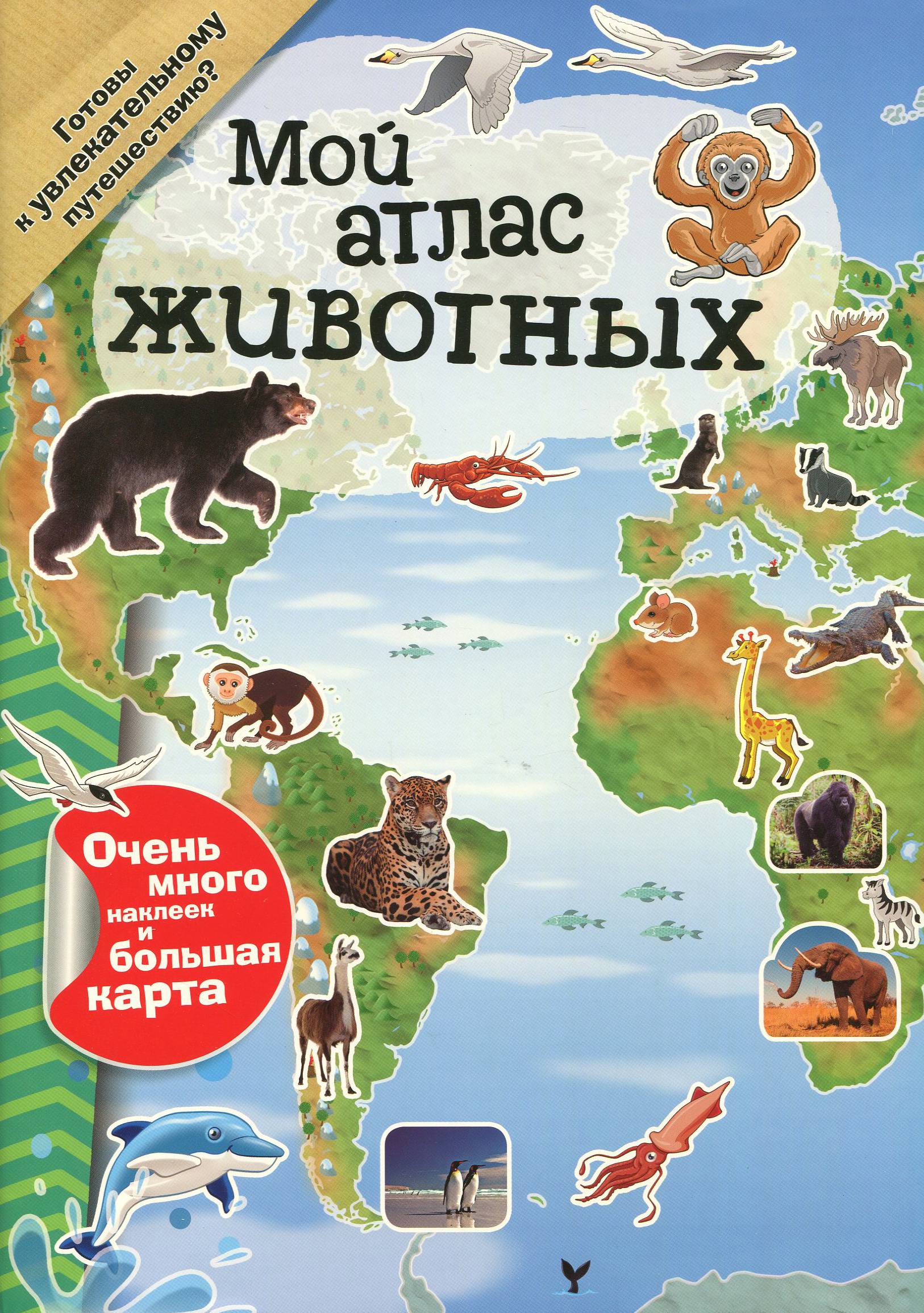 Книга Лабиринт Мой атлас животных - фото 1