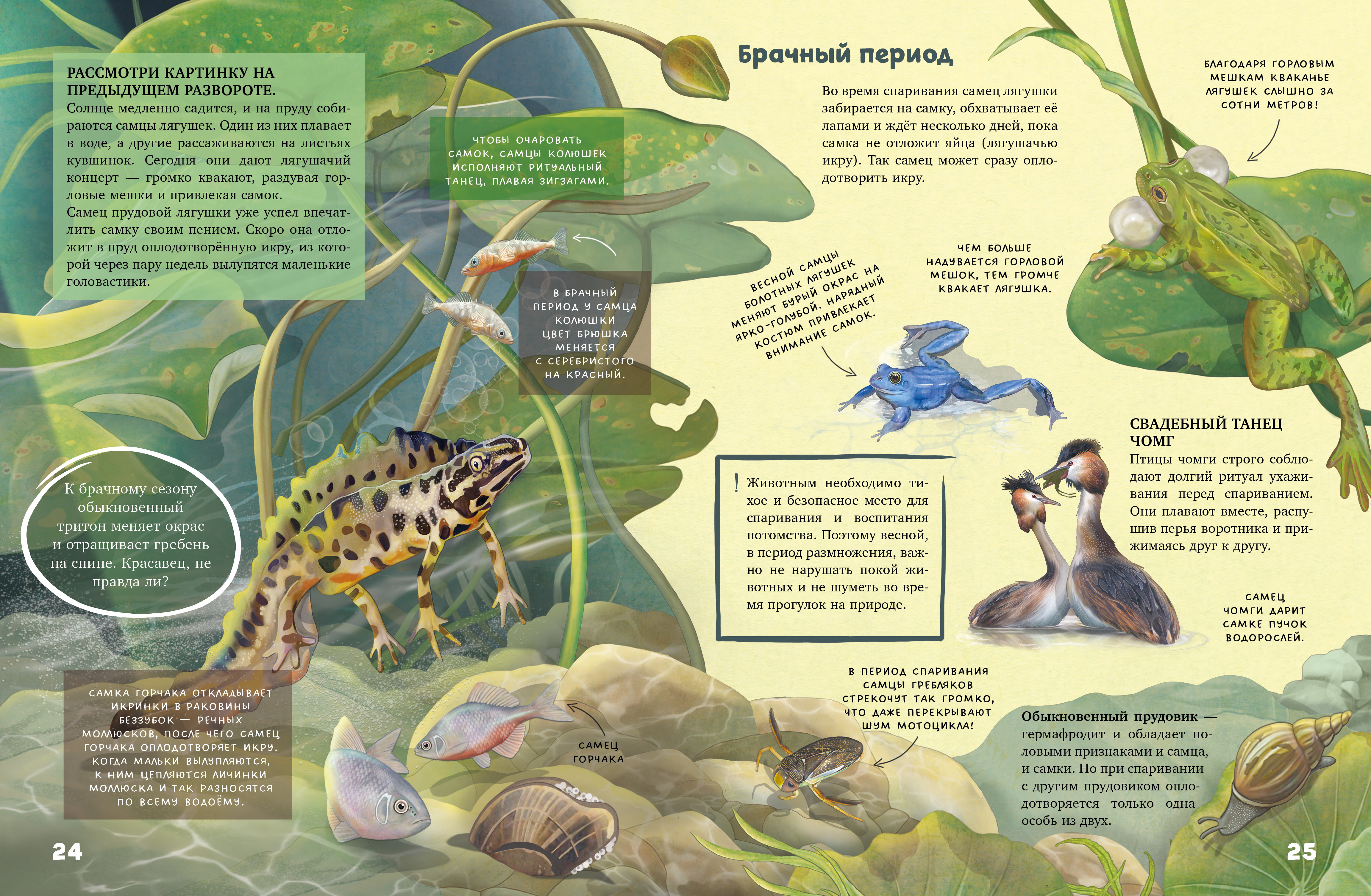 Книга Clever Удивительные энциклопедии - фото 6
