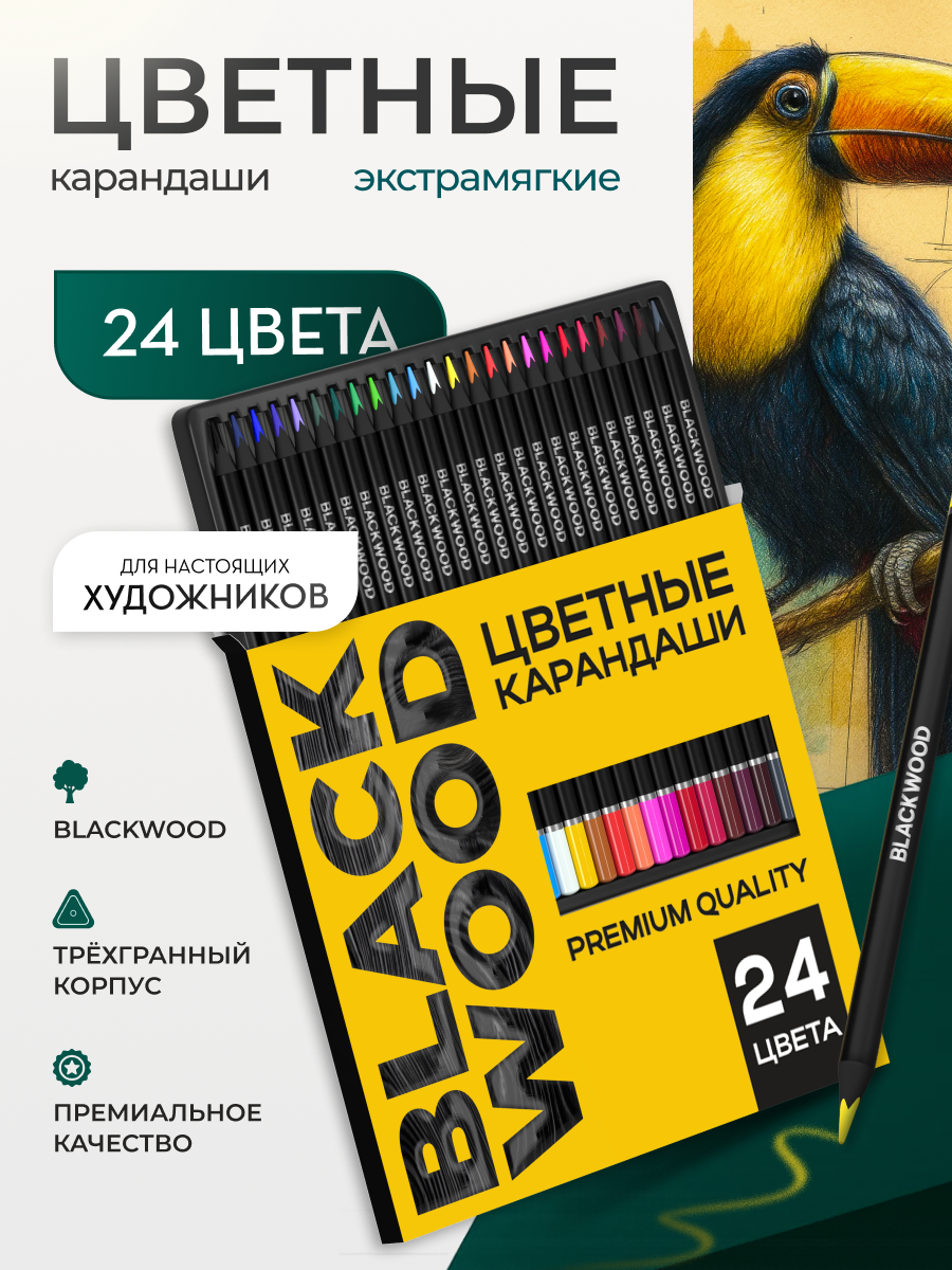 Карандаши цветные DENKSY 24 шт. - фото 1