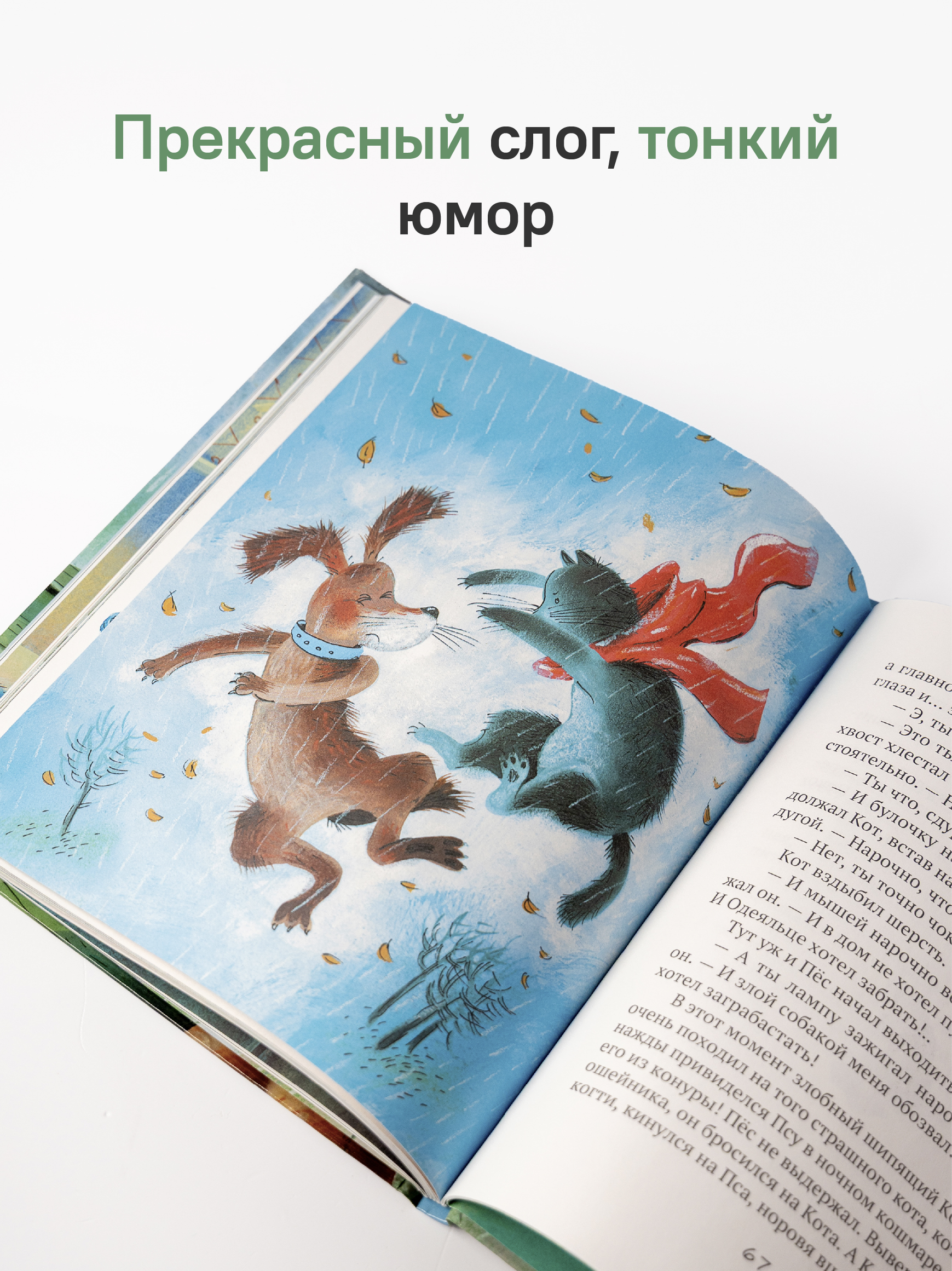 Дождь. Маленькая повесть Никея Книга для детей - фото 6
