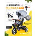 Трехколесный велосипед Babyhit 10 дюймов