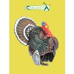 Фигурка Collecta Индейка