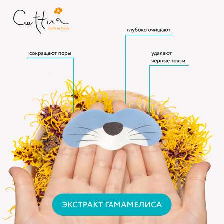 Маска Cettua 6 шт.