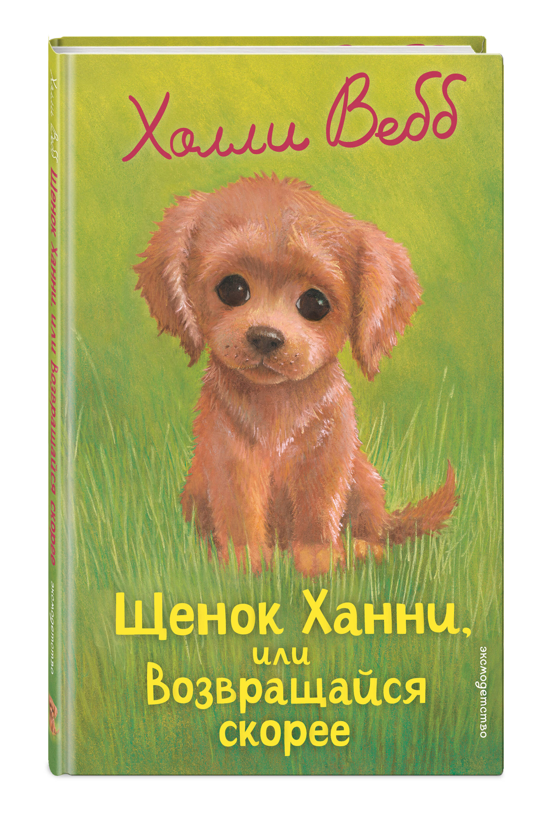 Книга Эксмо Холли Вебб Щенок Ханни - фото 5