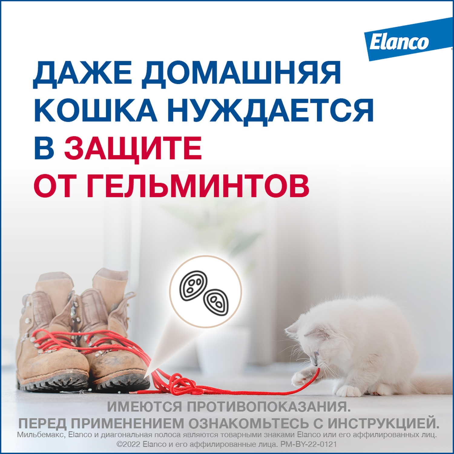 Антигельминтик для кошек Elanco Мильбемакс крупных пород 2таблетки - фото 3
