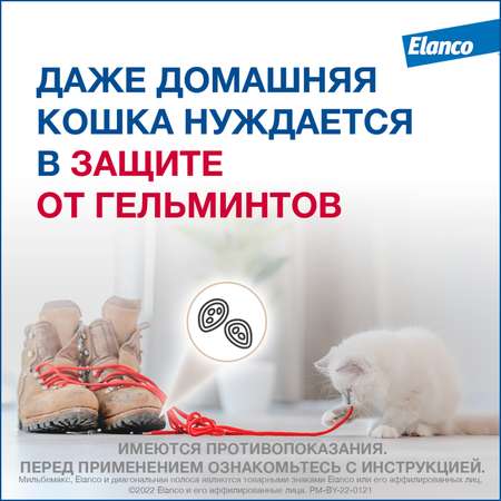 Антигельминтик для кошек Elanco Мильбемакс крупных пород 2таблетки