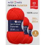 Пряжа Astra Premium Галатея акриловая 100 г 250 м 03 красный 3 мотка