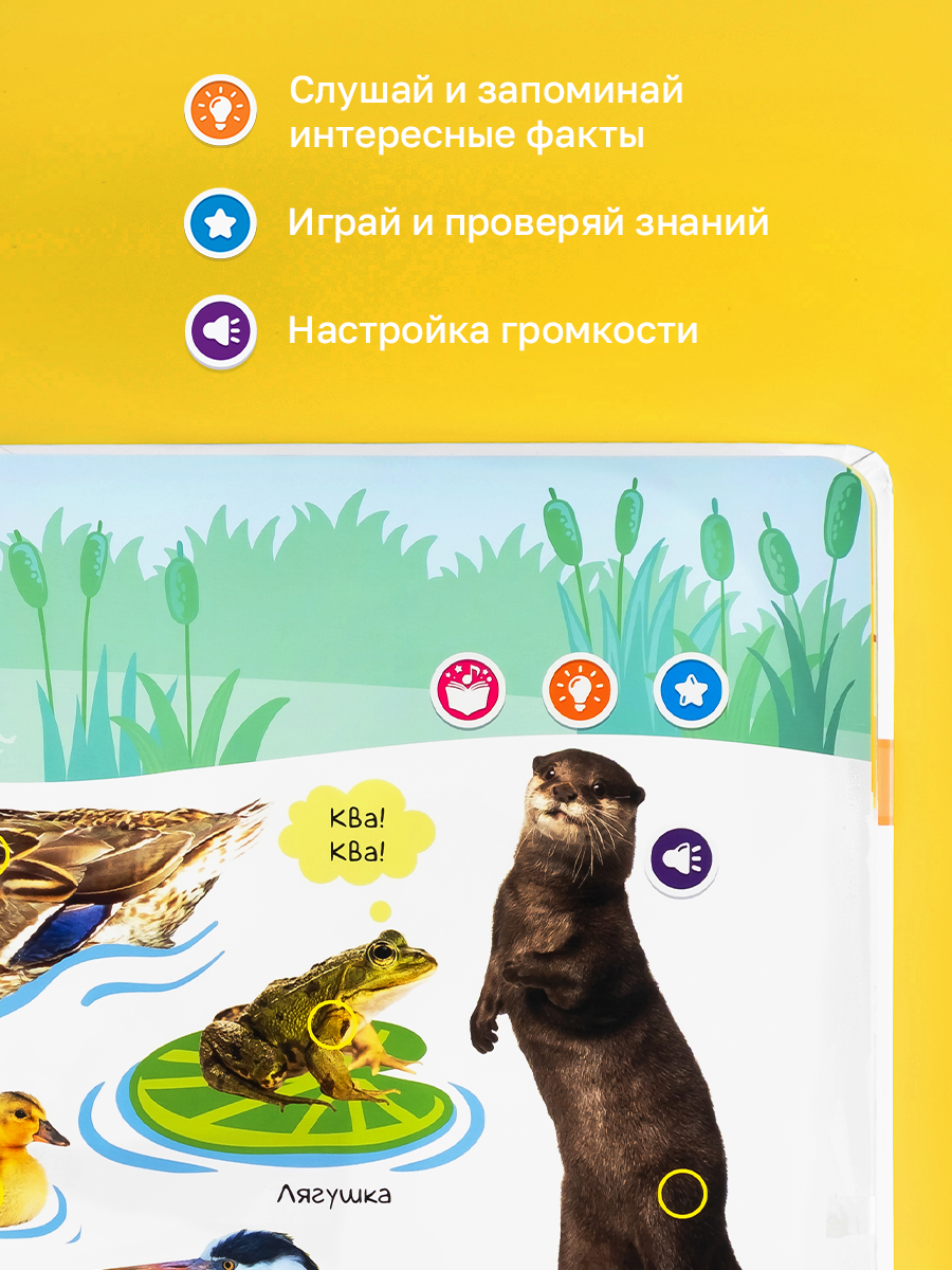 Говорящая книжка Нажималка BertToys Животные - фото 6