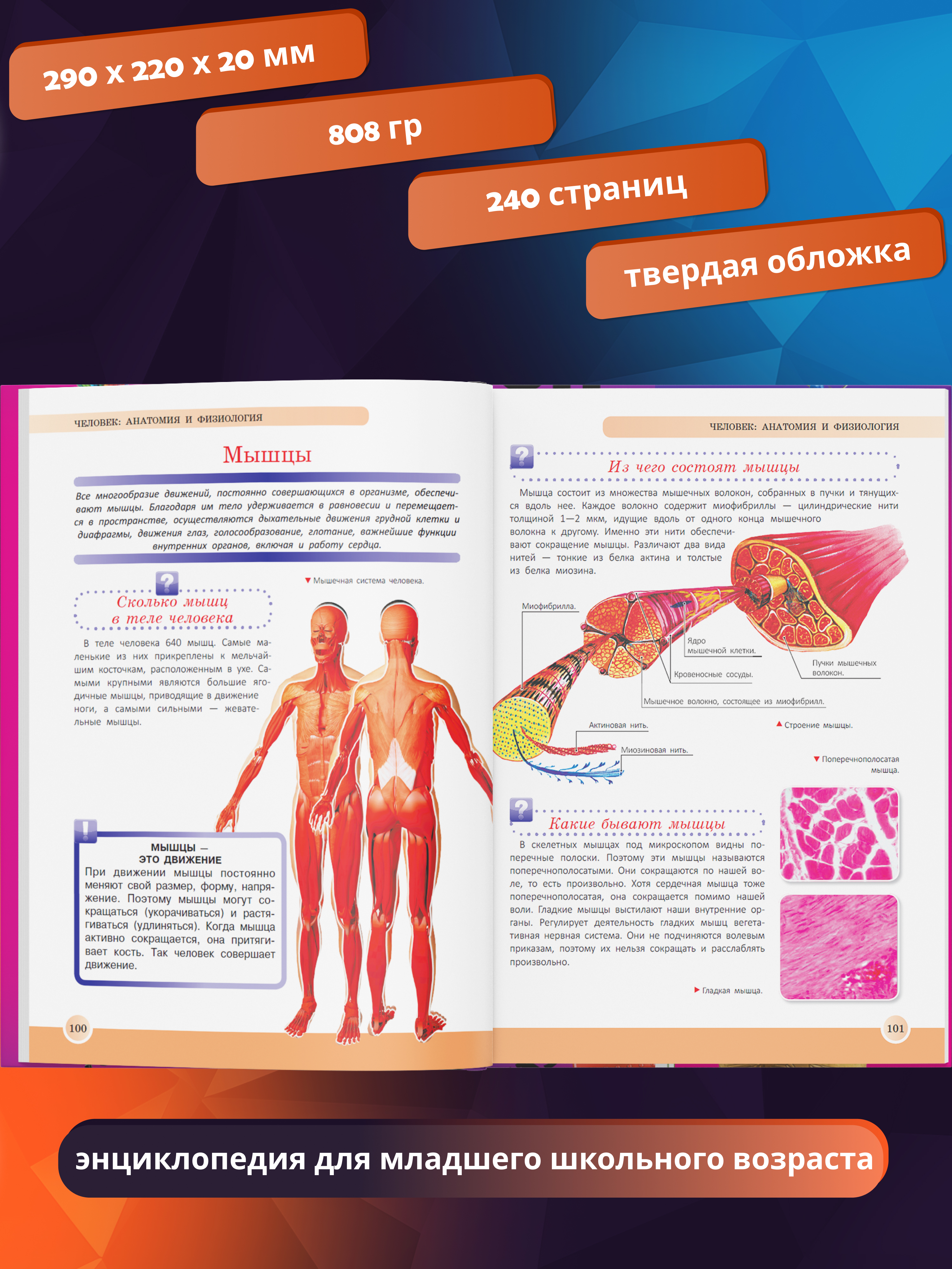 Книга для детей Харвест Новейшая энциклопедия школьника - фото 3