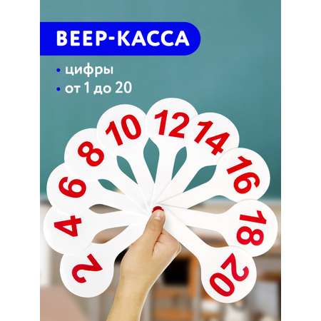 Касса-веер Пифагор Цифры
