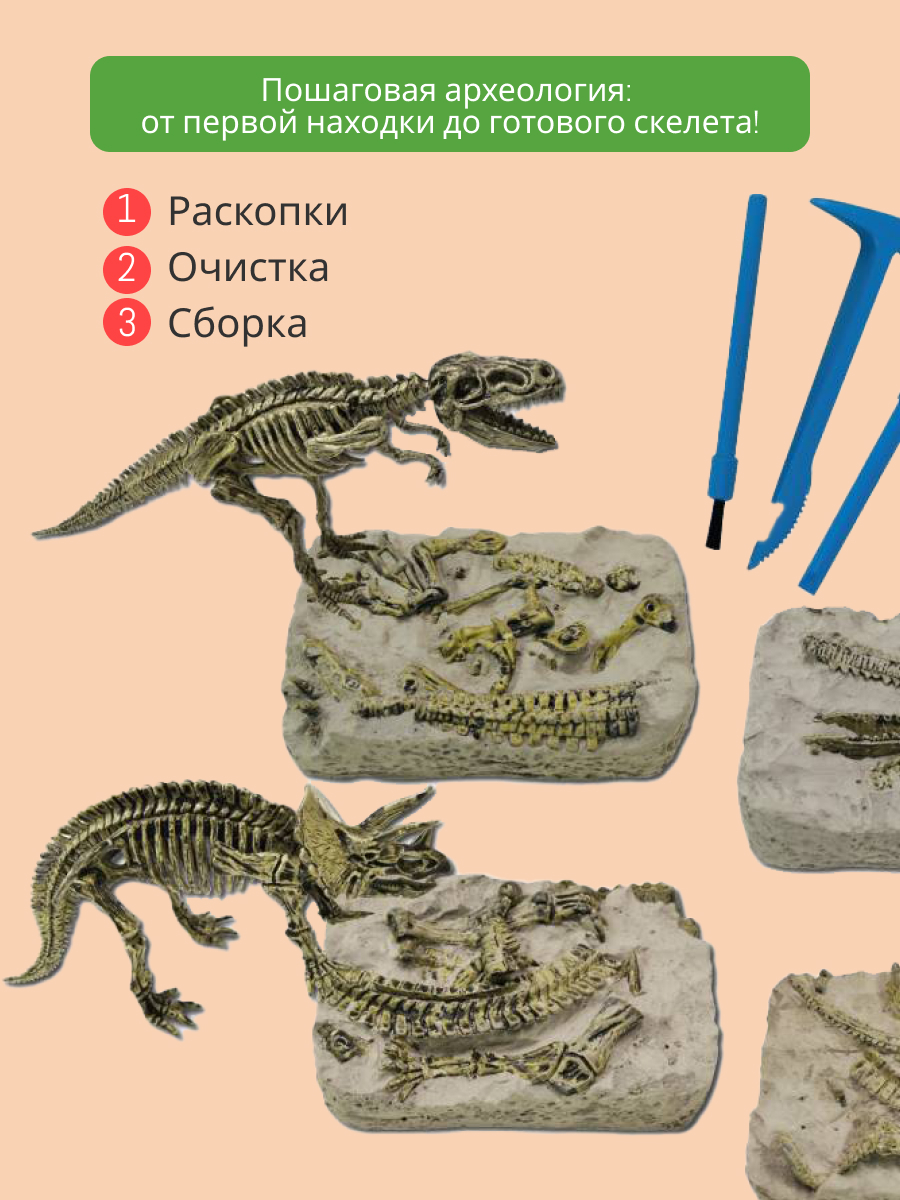 Набор для раскопок KONIK Science - фото 5