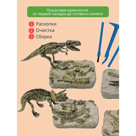Набор для раскопок KONIK Science