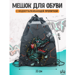 Мешок для обуви ПАНДАРОГ