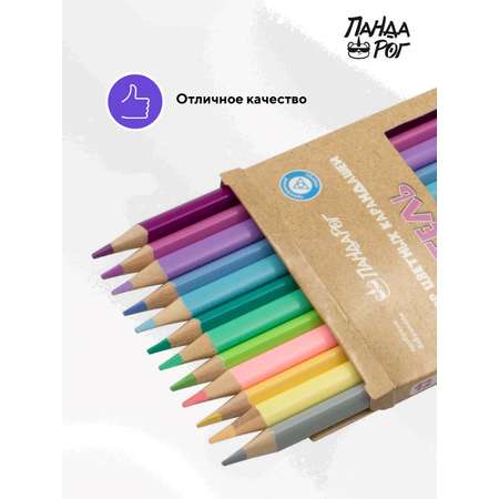 Карандаши цветные ПАНДАРОГ 12 шт.