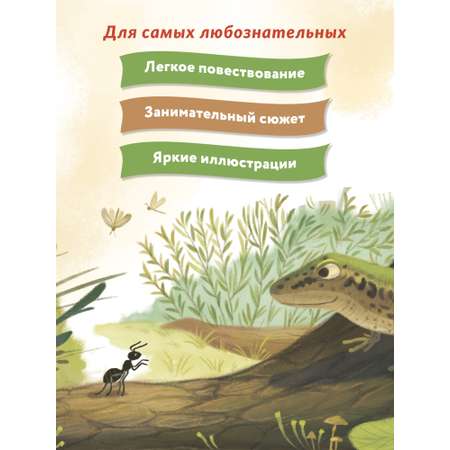 Книга Феникс Премьер Как муравей за солнышком ходил. Добрая сказка